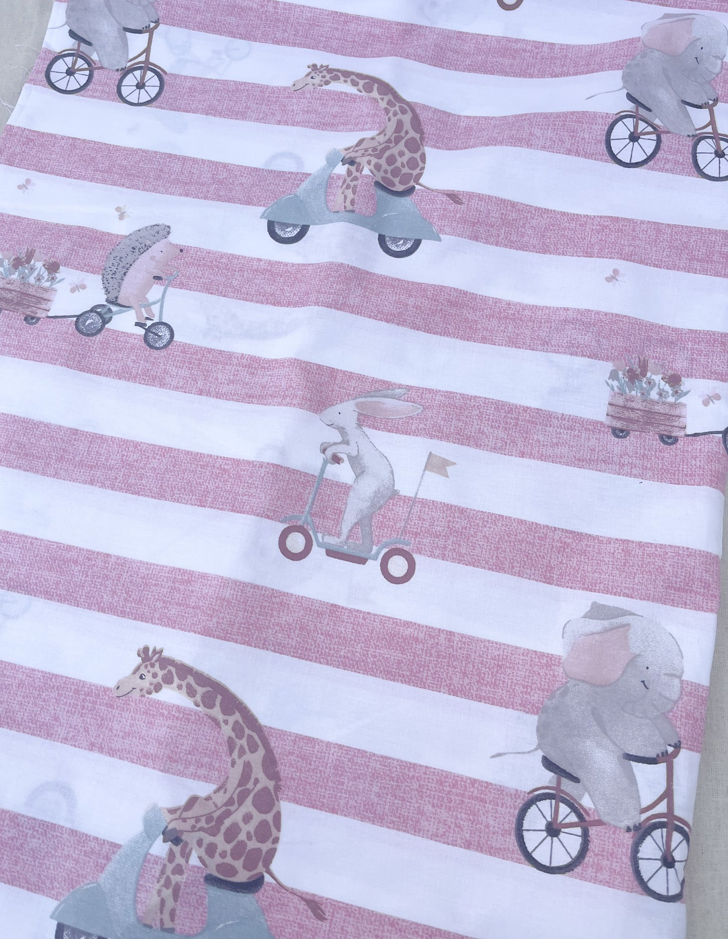 Eco-Friendly Party Bags / Animals on Vehicles